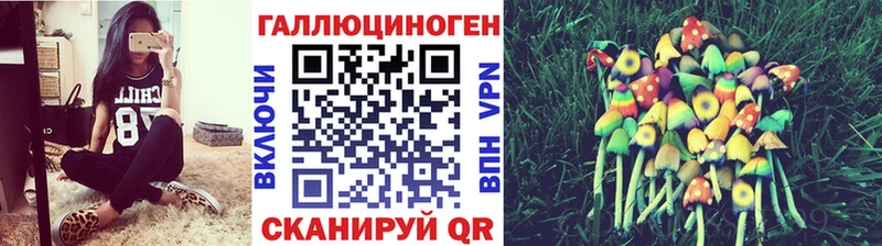 Купить закладки  Бийск  Галлюциногенные грибы ЛСД 